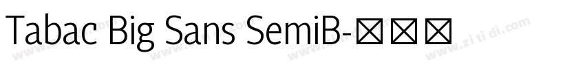 Tabac Big Sans SemiB字体转换 Tabac Big Sans SemiB字体转换